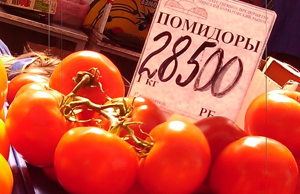 На українські томати в Росії ажіотажний попит 